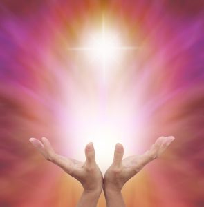 Learning How to Stay in Gratitude