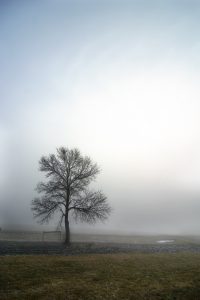 Our Feelings of Loneliness Are From Our Separateness From Source