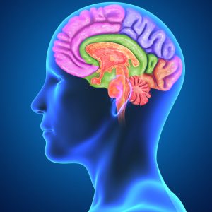 Is How Our Physical Body Feels Connected To Our Thoughts?