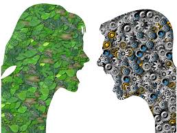 How Do You Handle Conflict in Your Life?