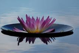 Stepping Back To Get The Answers. Learn How in a Personal Retreat