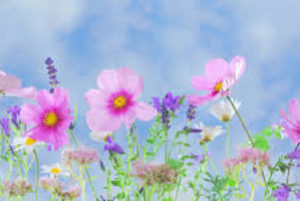 Adult Mother Daughter Bonding Retreats