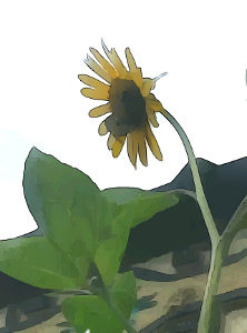 Exploring Loneliness