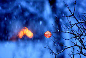 Happy Holiday from Sedona Soul Retrieval