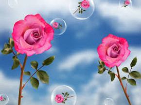 Changing the World Through Changing Ourselves