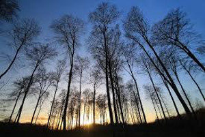 Recognizing your Growth