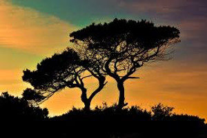 Using Your Mother Daughter Relationship to Grow