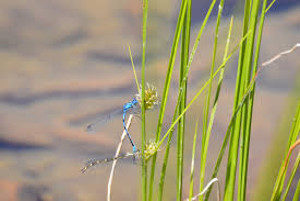 Get Out of Other Peoples Business!