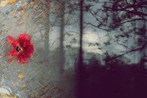 Feeling Run Down with Emotional Work