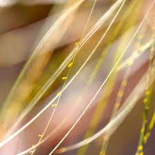 When Things Don’t Go Our Way!