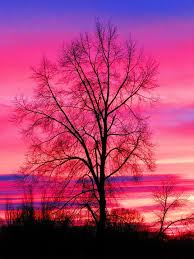 Avoiding Your Feelings