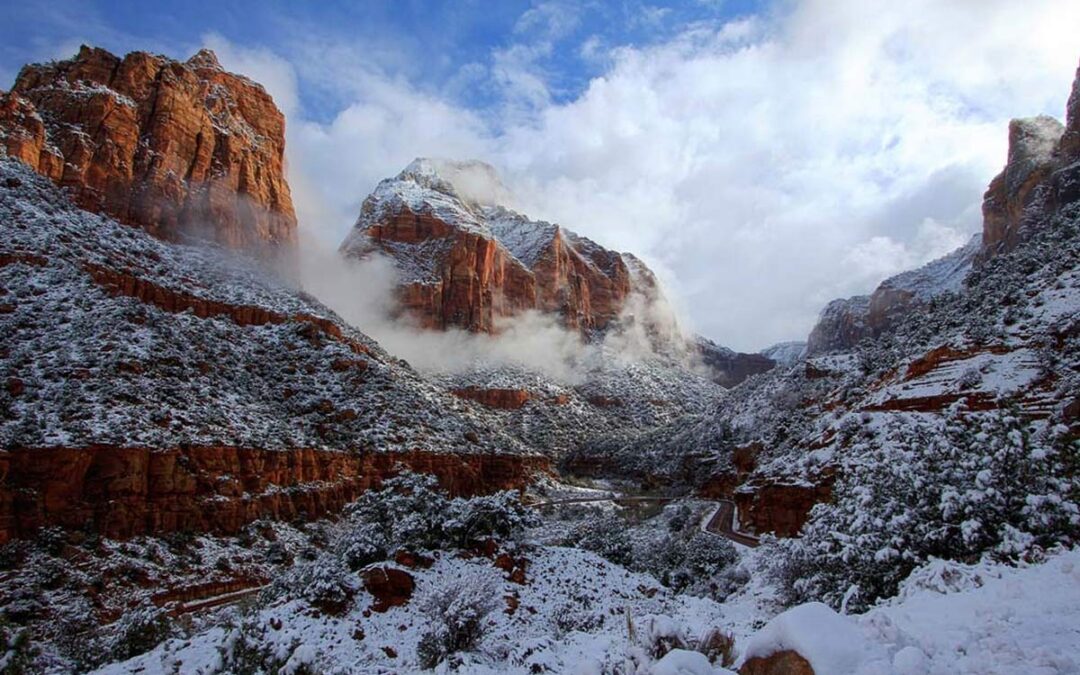 Happy Holidays and Happy New Year